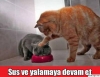 günboyu yalanan sözlük kızının başkasına yazması / #962953