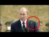 putinin üzerine kuşun pislemesi / #674620