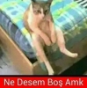 üst üste 8 ayrı kız tarafından reddedilmek / #695390