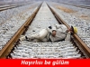 fakir olmak kader midir / #736119