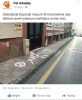 öylece duran kediyi tekmeleyip öldüren adam / #913722