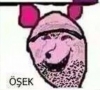 keçinin erkeğine ne denir / #694781