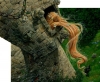 rapunzel / #882815