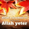 vekil olarak allah size yeter / #622246