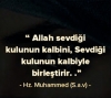 kimsenin sevgisine ihtiyaç duymayan kişi / #726732