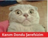 kutlukbilgekagan ın aslında zall olması / #854888