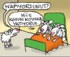 günün en iğrenç esprisi / #694648