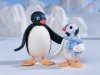 pingu