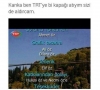 sülalecek trt de çalışan aile / #849960