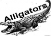 alligator / #771515