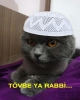 bir ateistin recep tayyip erdoğan aşığı olması / #863842