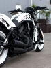 harley davidson nightrod / #789620