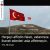 türk askerlerinin van kedilerini öldürmesi / #818970