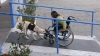 köpeklerin sadık olması / #625959