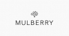 mulberry / #773779