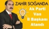 zahir soğanda / #674840