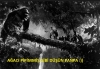 king kong un pipisi nerede sorunsalı / #558506