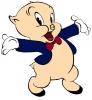 porky pig / #558918