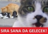 profil fotoğrafı rabia işareti olan kızlar / #960920