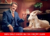 kadir inanır lı sigortam net reklamı / #637935