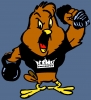 henery hawk