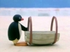 pingu