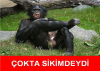 itiraf ediyorum etuuu nun türbanlı bacısı benim / #819350