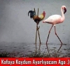 uzun boylu kız kısa boylu erkek ilişkisi / #604996