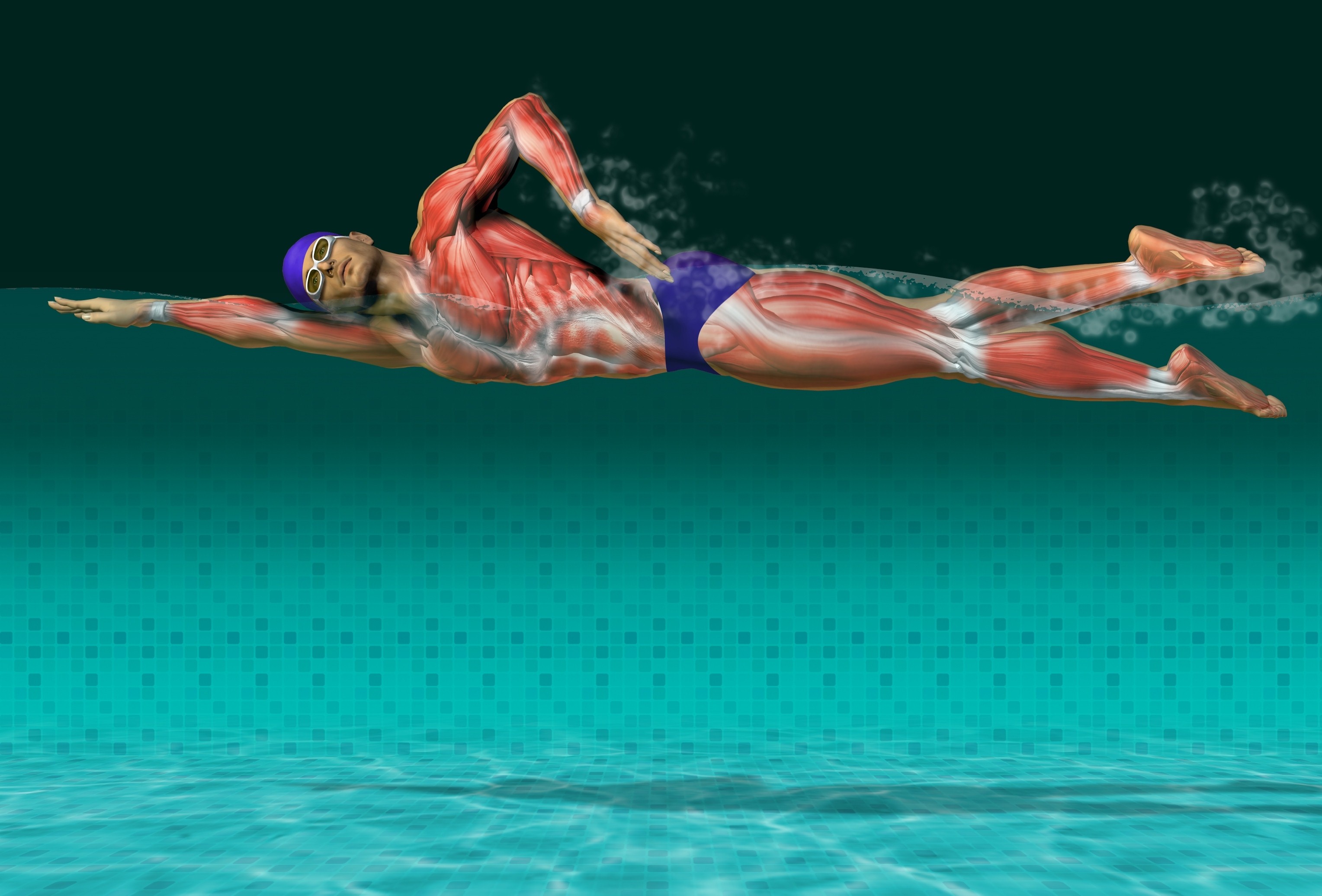 Плавание и мышцы тела