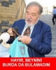 rehabilitasyon mu rehebilitasyon rahatbilasyon mu / #934179