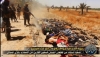 kobani sikertmesi / #687166