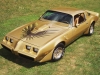 pontiac firebird / #760103