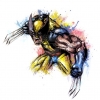 wolverine