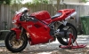 ducati 996 / #659469