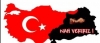 kürdistan hayali kuran kürtlere ithafen / #638970