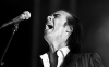 nick cave