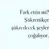 varları görüp şükretmek / #952693