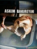 aşkım sen ikincisin diyen izmirli kadın / #779121