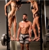 dan bilzerian vs protest sanayici / #970554