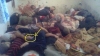 kobani sikertmesi / #687163