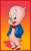 porky pig / #558906