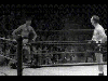 turabi nin mike tyson ile dövüşmek istemesi / #965693