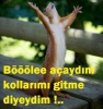 abdestli atayiz in sözlüğe vedası / #871906
