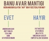 banu avar mantığı / #943052