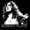 robert plant