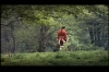 barry lyndon