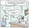 dayak yiyen doktorların ortak özellikleri / #736300