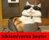 çarşı grubunun artık haddini aştığı gerçeği / #806727