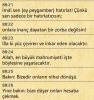 hz muhammed in amcasını müslüman yapamamış olması / #939426