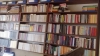 yazarların kütüphanelerindeki kitaplar
